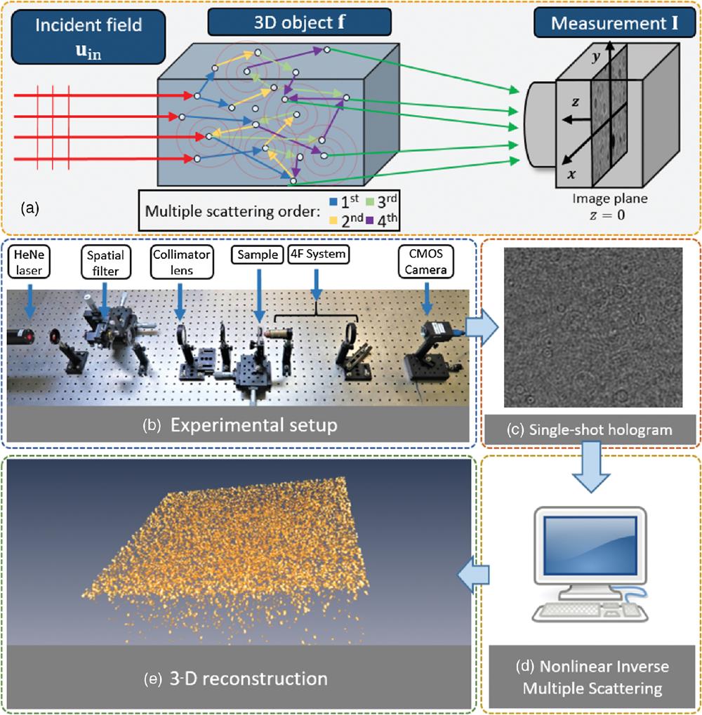 Holographic particle localization under multiple scattering