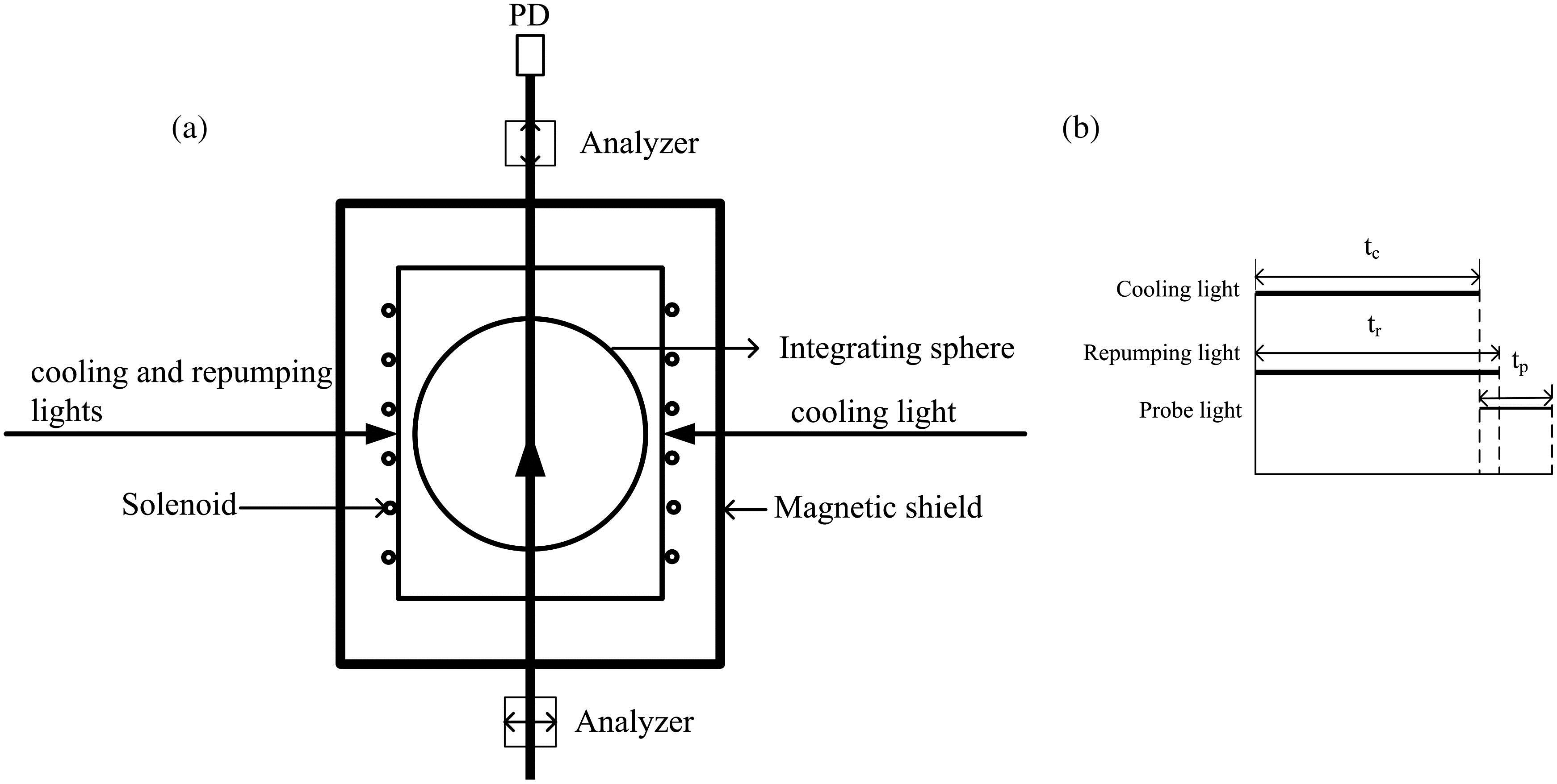 (a) Experimental setup for magneto-optical detection; (b) timing sequence of the experiment. Cooling time tc and the repumping time tr are 177.5 and 179 ms, respectively. Probe time tp is 7.5 ms which is switched on immediately after the cooling light is turned off.