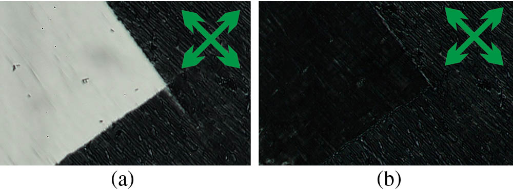 Photomicrograph of the SSFLC cell with the POR filled with W212-2E ferroelectric LC observed under the polarizing microscope BIOLAR PI (by PZO Poland) within the birefractive setup. The cross denotes the polarizer and analyzer orientation. (a) Left area is the view of the SSFLC between the ITO electrodes while the E+ electric field is applied. (b) The same cell while the E− electric field is applied.