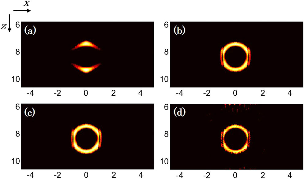 Limited-view reconstruction results. (a) BP with center aperture, (b) BP with synthetic aperture, (c) CS with synthetic aperture, and (d) CS with 1/4 synthetic aperture.
