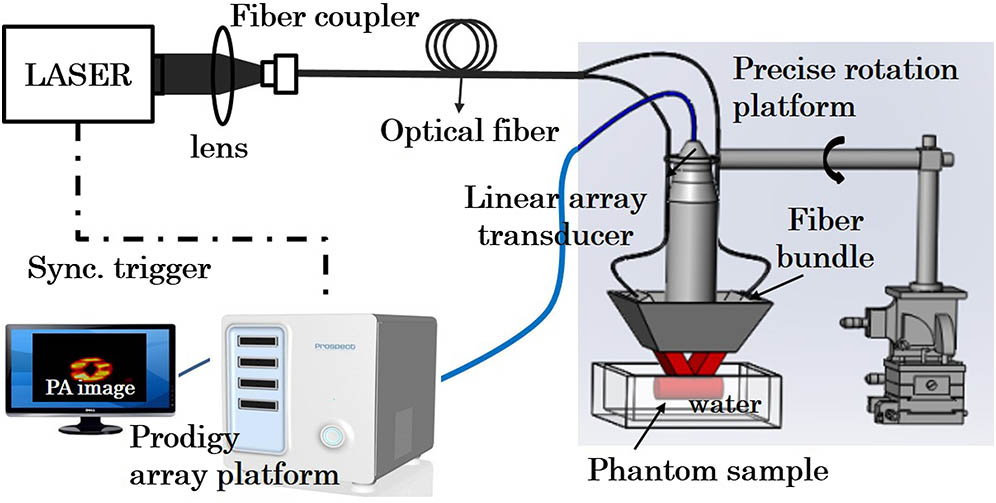 PA experimental setup using a rotate-translate stage to form the synthetic aperture.