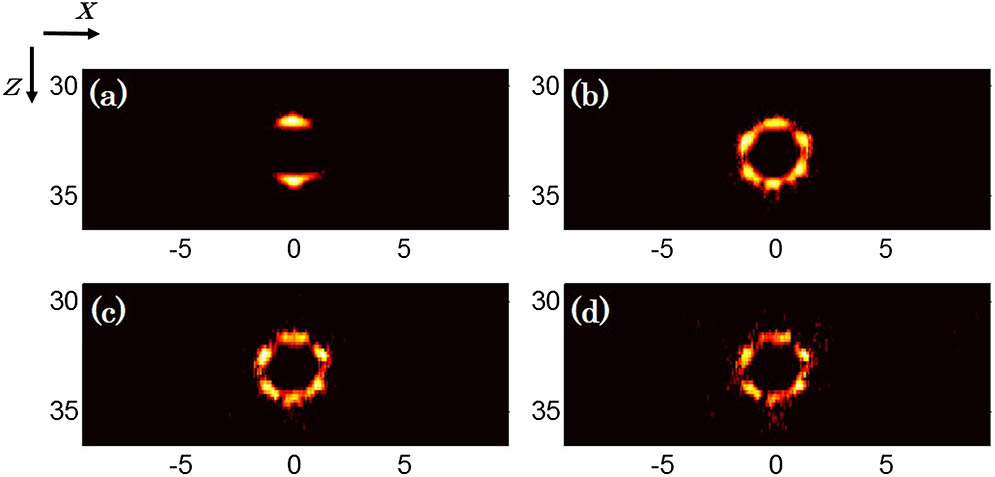 Limited-view reconstruction results. (a) BP with center aperture, (b) BP with synthetic aperture, (c) CS with synthetic aperture, and (d) CS with 1/4 synthetic aperture.