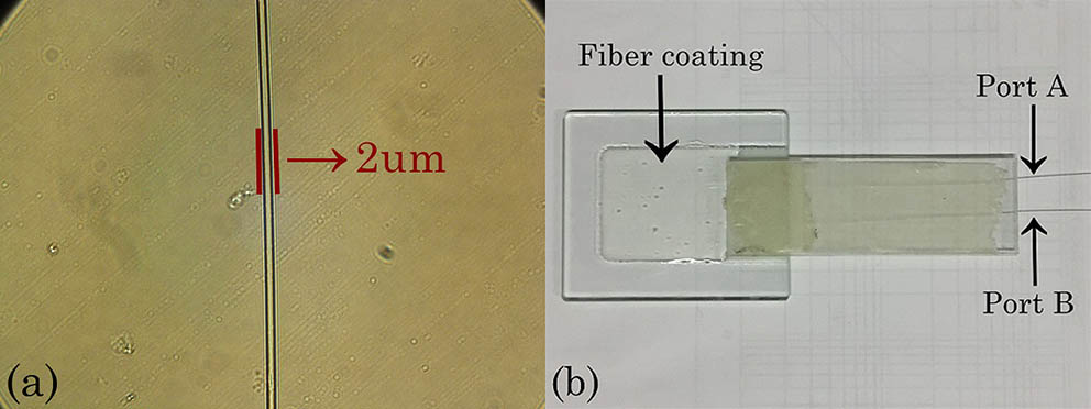 (a) The microscope photograph of the drawn optical microfiber. (b) The photograph of the optical microfiber covered by fiber coating