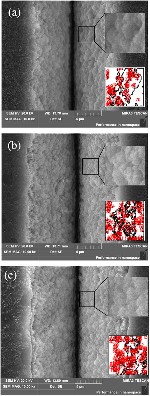 SEM images of 15 mW heating at different temperatures and at an incubation time for 1 h. (a) Room temperature; (b) 400°C; (c) 800°C; the upper right corner is the selected area, and the lower right corner is the counting result.