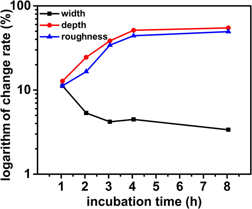 Relationship between the change rate of the morphology and the incubation time when the work piece is heated to 800°C.