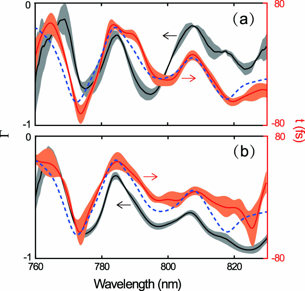 Modulation depth Γ (black line) and group delay t (red line) for two laser fluence examples of (a) Fpm=50.0 J/cm2 and (b) Fpm=9.2 J/cm2. The dashed lines are the reference group delays for the laser pulse without a PM. The shaded areas are the standard deviations due to shot-to-shot fluctuations.