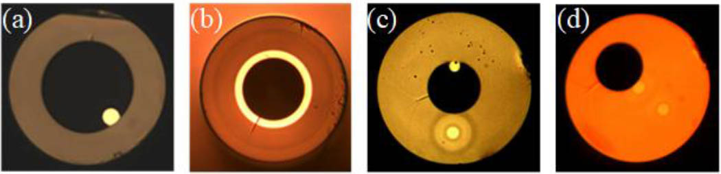 Optical paths and microfluidic materials channel hybrid integrated fiber.