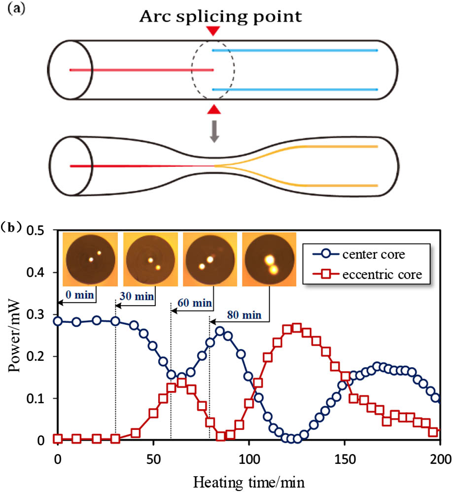 In-fiber integrated coupler technologies.