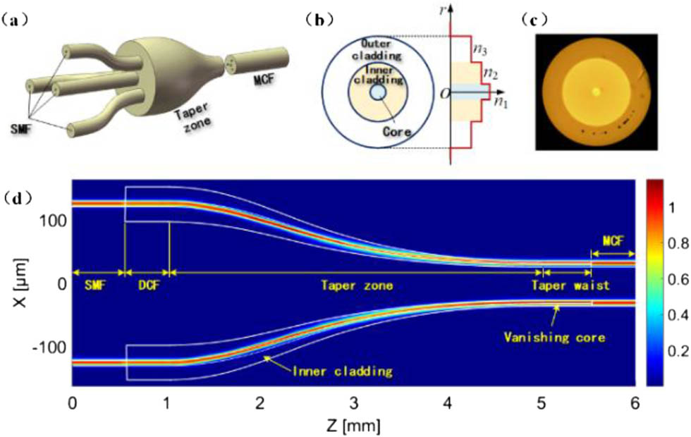 Configuration of multi-core fiber fan-out component.