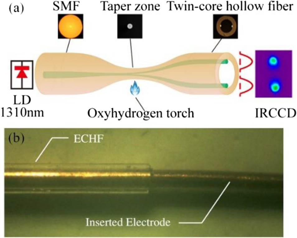 In-fiber integrated electro-optic intensity modulator.