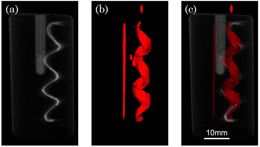 Agar phantom imaging results. (a) The 3D rendering result for the CT reconstruction. (b) The 3D rendering result for the photoacoustic imaging. (c) The co-registered rendering of the PAT and CT images (Video 1).