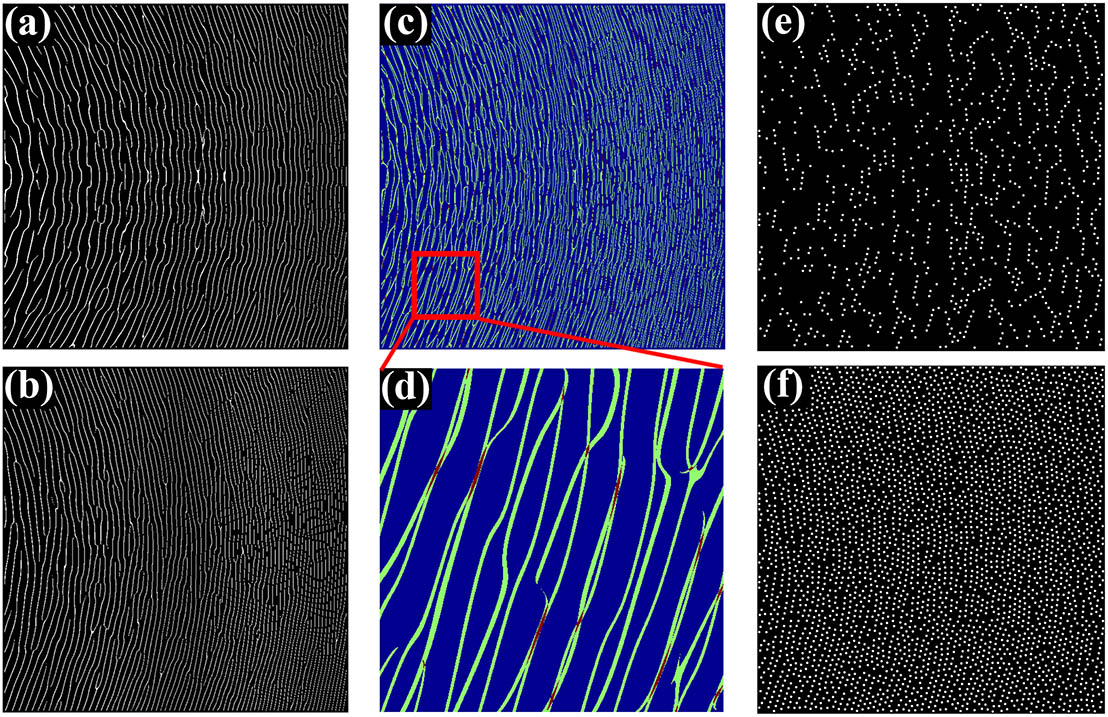 (a) and (b) The 30 μm×30 μm hologram patterns of a single object letter ‘E’ with respect to the TE0 mode as the reference wave and letter ‘M’ with respect to the TM0 mode as the reference wave, respectively; (c) the overlapped hologram pattern for two holographic images, and (d) the zoom-in figure; (e) shared scatterers between two hologram patterns; (f) the final designed hologram structure with a well-selected nanoscatterers array.