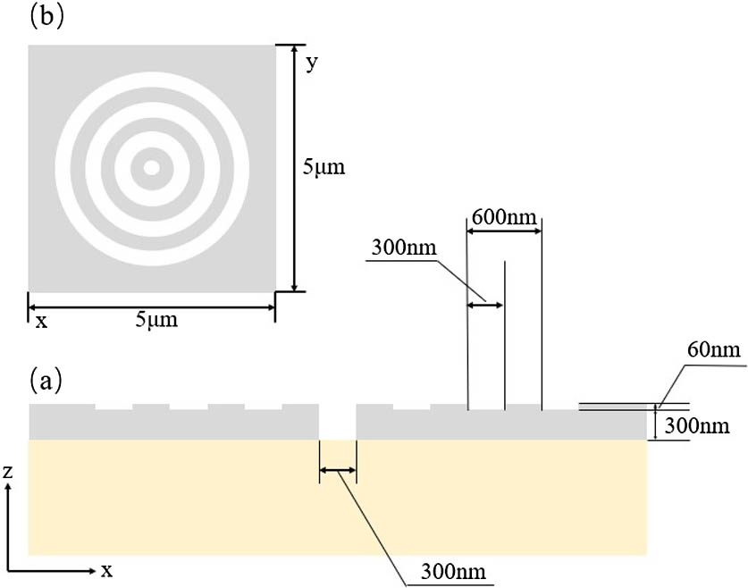 Cross section of the bullseye structure (a) x-z cross section (elevation view) and (b) x-y cross section (top view).