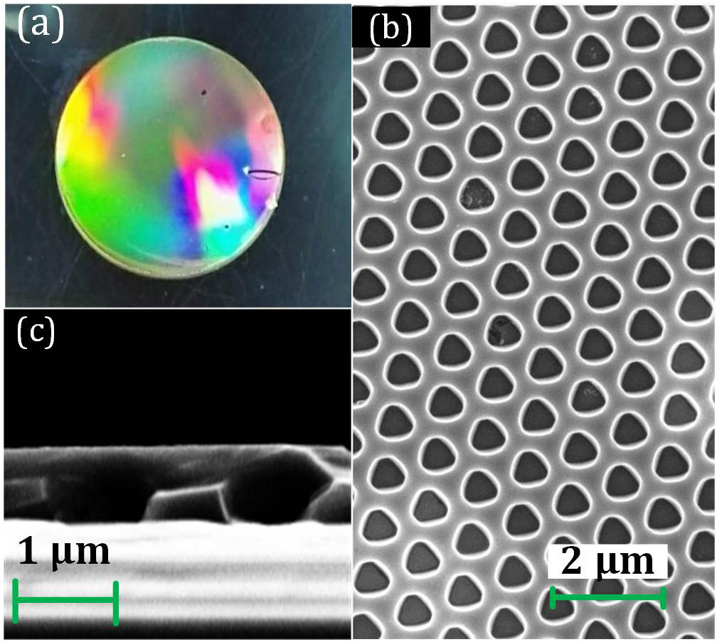 (a) Photograph and (b) SEM micrograph of the fabricated Ge wafer with a Reuleaux-triangle hole array. (c) SEM side view of two Reuleaux-triangle holes.