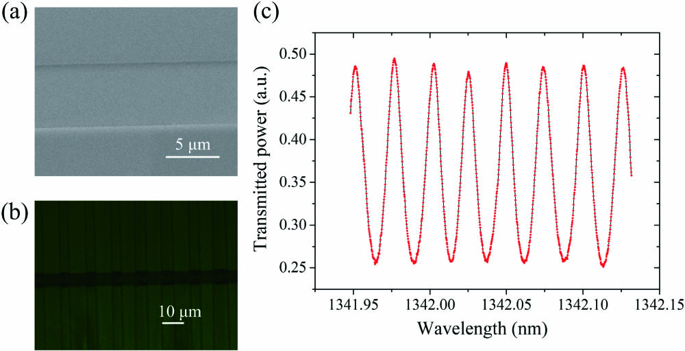 (a) SEM picture of SiO2 mask. (b) Image of the inverted domain structure of the APE waveguide recorded using confocal SH microscopy. (c) The measured and fitted transmission spectra of the waveguide.