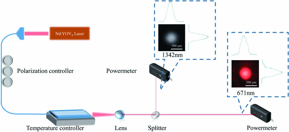 Schematic experimental setup. The two insets are the images of the FW and SH wave, respectively.