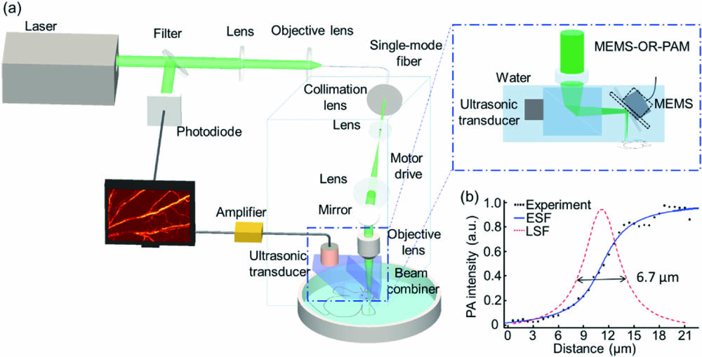 OR-PAM system. (a) OR-PAM and MEMS-OR-PAM system scheme. (b) The ESF and LSF of a sharp edge.