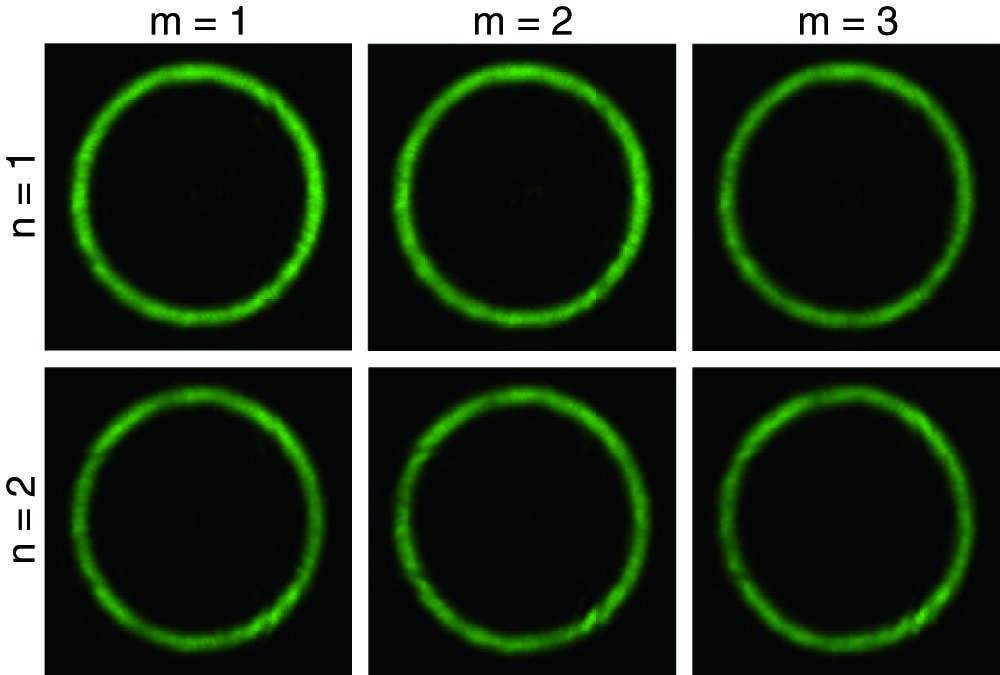 Intensity of the perfect VOFs carrying ANU-OAM with m=1,2,3 and n=1,2. All of the pictures have the same size of 1.2 mm×1.2 mm.
