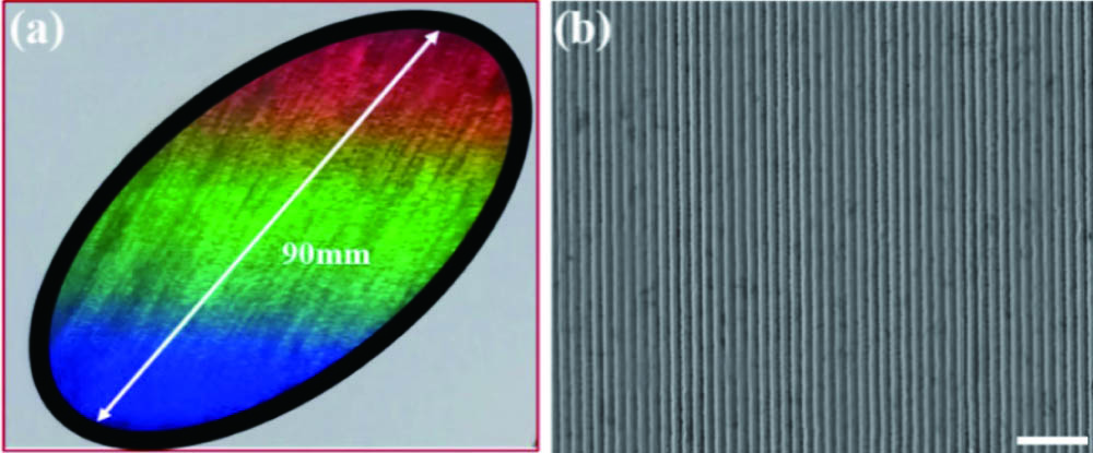 (a) Optical image of the colored surface and (b) SEM image of RUSNGs. The scale bar is 5 μm.