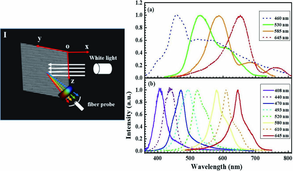 Optical characterization measurements of the periodic ripples. (I) Diagrammatic sketch of the diffraction spectra test; diffraction spectra of (a) subwavelength ripples generated by single laser beam and (b) RUSNGs.