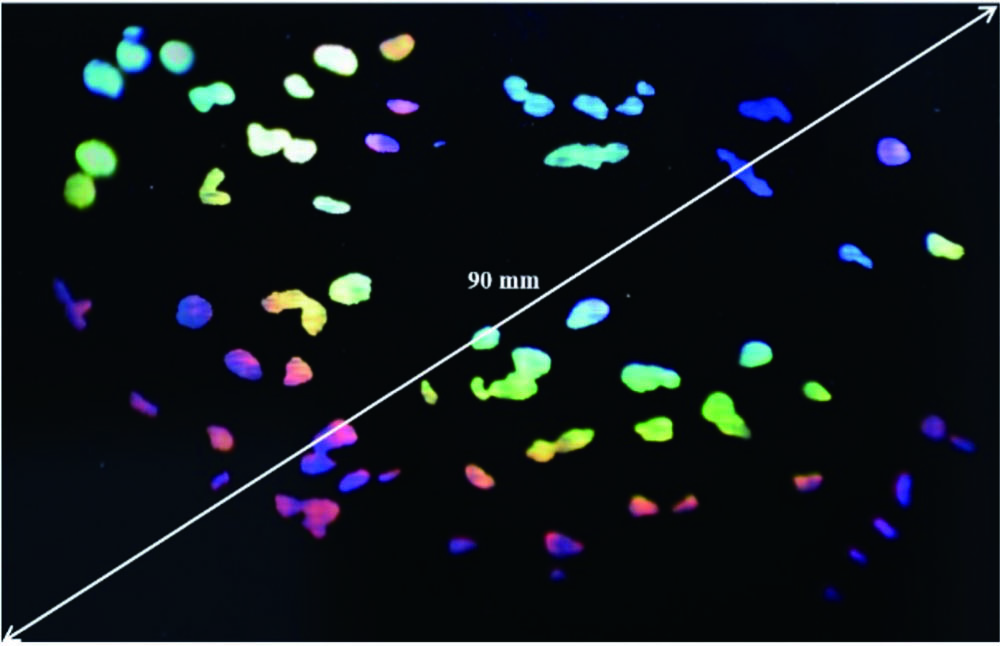 Colorful optical image of the pattern of “raining petals” covered with RUSNGs.