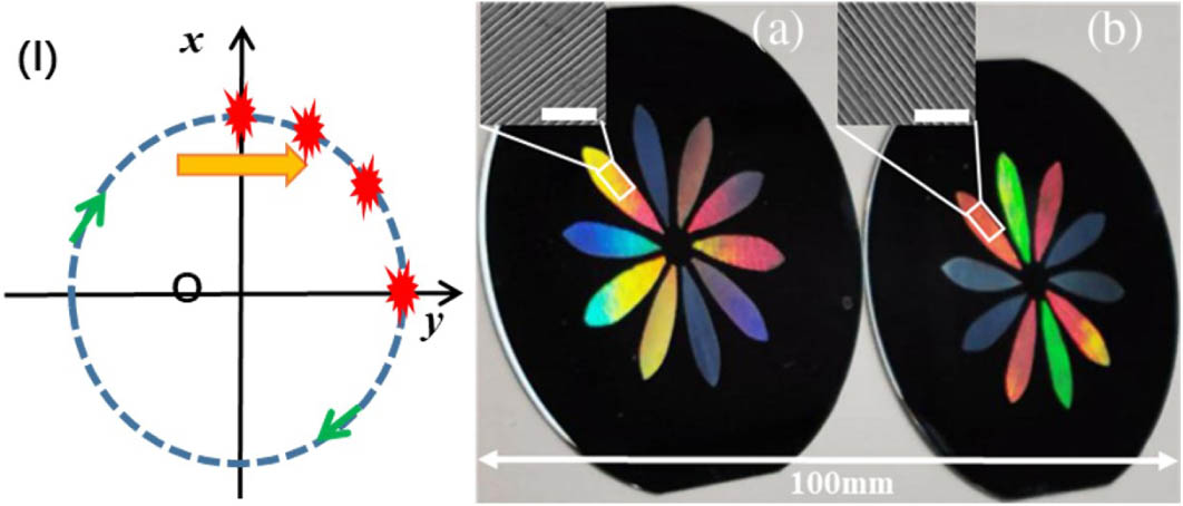 Colorful optical images of two flowers with nanogratings in different directions. (I) Schematic of the processing method. Flowers with nanogratings in (a) azimuth direction and (b) radial direction. The two enlarged SEM pictures represent the nanogratings in the corresponding squares. The scale bars are 5 μm.