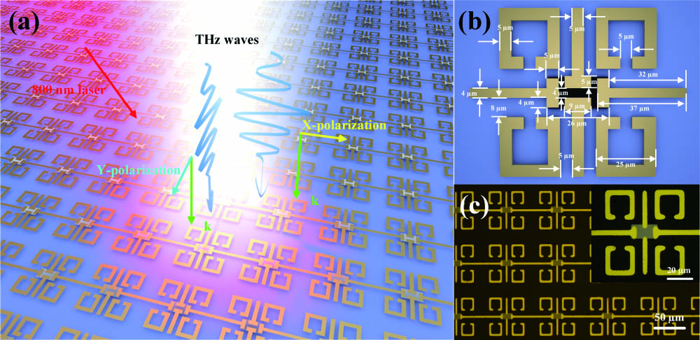 (a) Diagrammatic illustration of the polarization-dependent PIT modulation in the metadevice for OPTP spectroscopy. (b) Schematic of the unit cell of the metadevice. The sizes have been marked in the figure. The black area is the bared Si island, whose sizes are 26 µm in the horizontal direction and 12 µm in the vertical direction, respectively. (c) Optical microscopic image of the periodically arranged unit cells. Inset is an amplified photo of a single unit cell. The periods are 90 µm and 95 µm in directions of x polarization and y polarization, respectively.