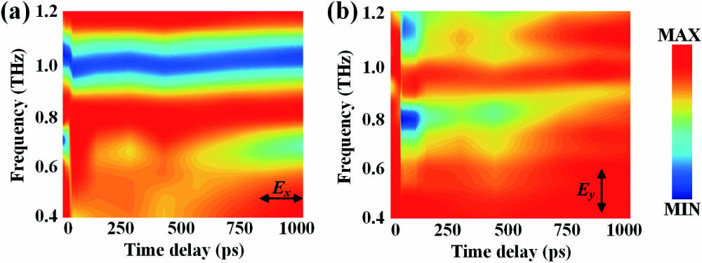 Experimentally measured THz transient color map of transmission rates for (a) x polarization and (b) y polarization, under pump fluence of 2000 mW/cm2.