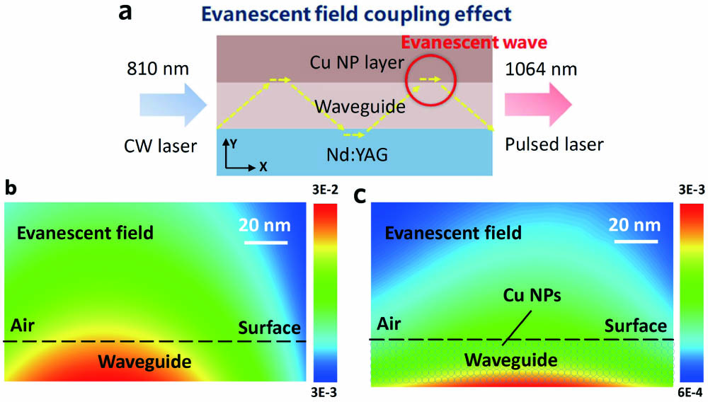 (a) Schematic of evanescent field coupling effect. (b) Near-field distribution of the sample without Cu NPs. (c) Near-field distribution of the sample with Cu NPs.