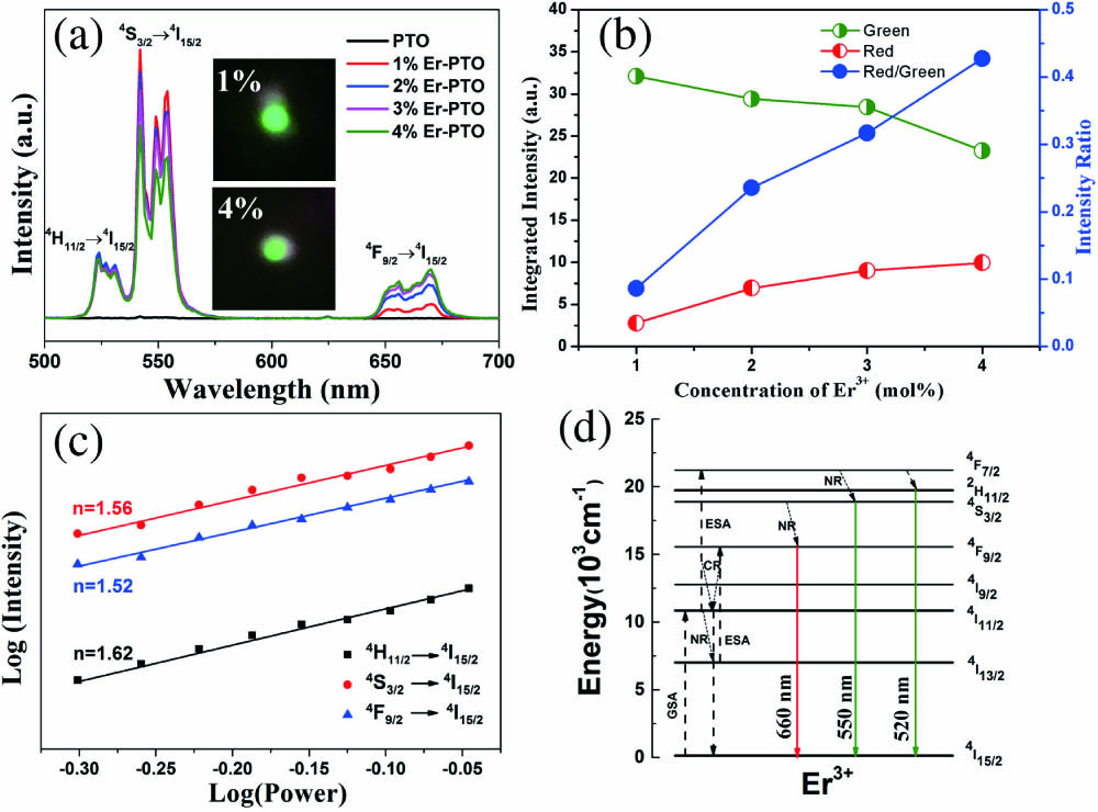 (a) Room temperature UCL spectra of Er-PTO (0, 1%, 2%, 3%, and 4%). The inset is the digital photographs of the 1% Er-PTO and 4% Er-PTO. (b) Plots of the integrated intensities versus the concentration of Er3+ ions. (c) Double logarithmic plots of pump power dependent emission intensities of 1% Er-PTO. (d) Energy levels of Er3+ ion and UCL mechanism of Er-PTO crystals.
