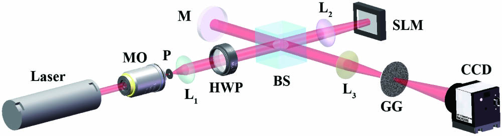 Experimental setup for measuring the topological charge of the vortex beams from laser speckle. Laser, He–Ne laser; MO, microscope objective; P, pinhole; L1, L2, and L3, lens; HWP, half-wave plate; BS, beam splitter; M, mirror; SLM, spatial light modulator; GG, ground glass; CCD, charge coupled device.