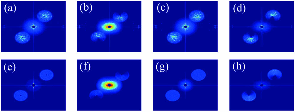 Experimental results and numerical simulations of the Fourier transform of the cross-covariance for the vortex beam with topological charge 1. (a)–(d) are the experimental results for rotation angles of polarizer 0°, 45°, 90°, and −45°. (e)–(h) are the simulations corresponding to (a)–(d), respectively.