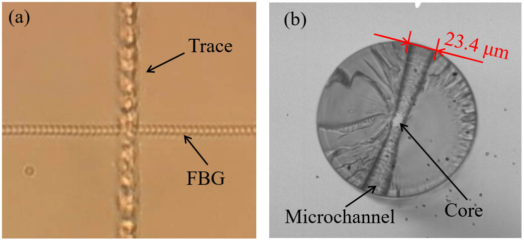 (a) FBG and trace image observed in CCD and (b) optical microscope image of the fiber end face.