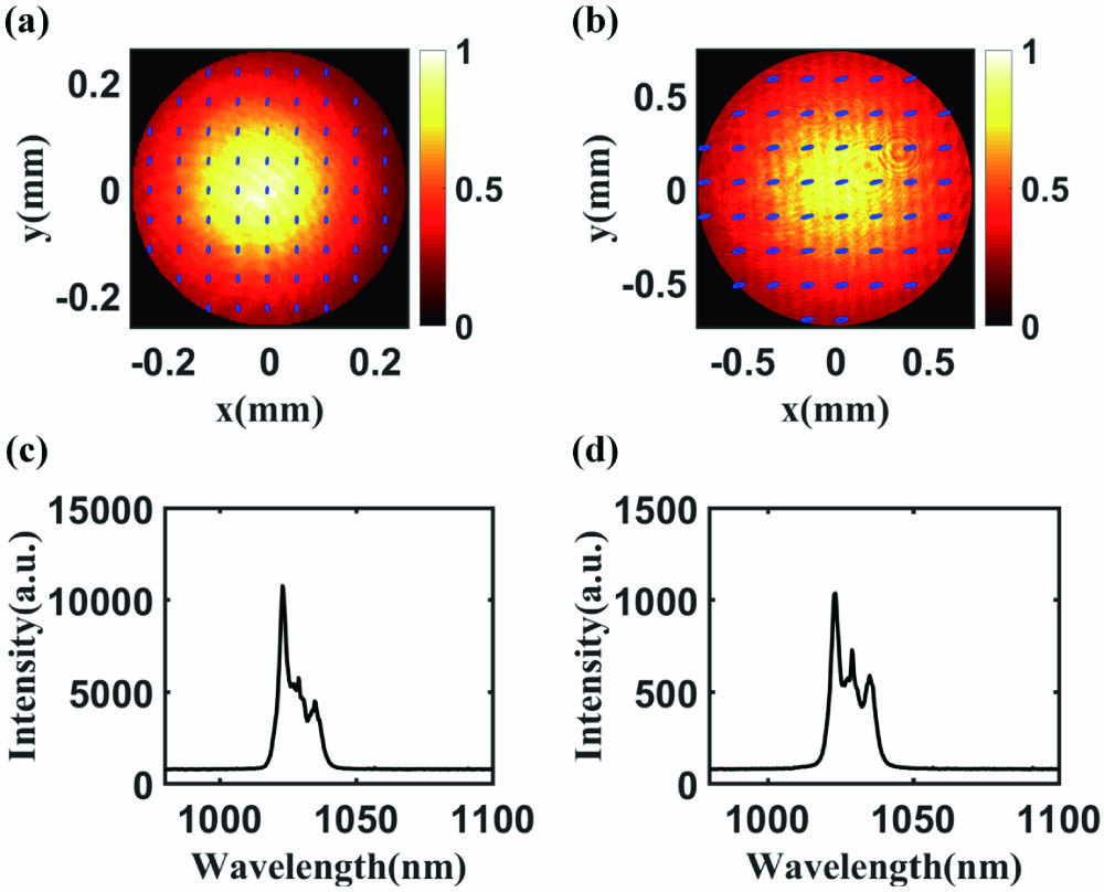 (a) Intensity and polarization distributions of 1030 nm input laser in front of the vortex fiber (the ellipses represent the direction of polarization). (b) Intensity and polarization distributions of 1030 nm output laser behind the fiber tail. Spectra of 1030 nm laser (c) in front of and (d) behind the fiber.