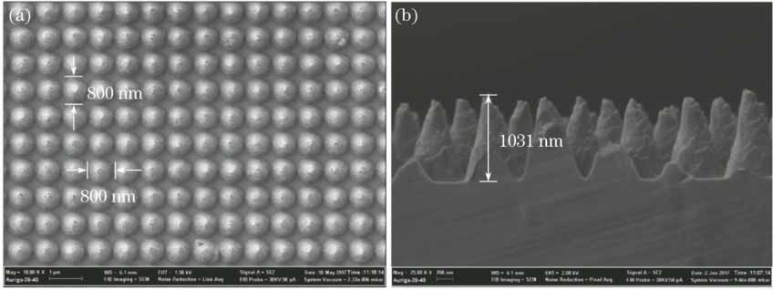 Scanning electron microscopy images of microstructure. (a) Top view (0°); (b) profile (90°)