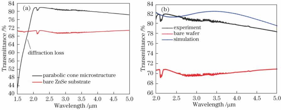 Curves of transmittance. (a) With and without microstructure; (b) simulated and experimental results