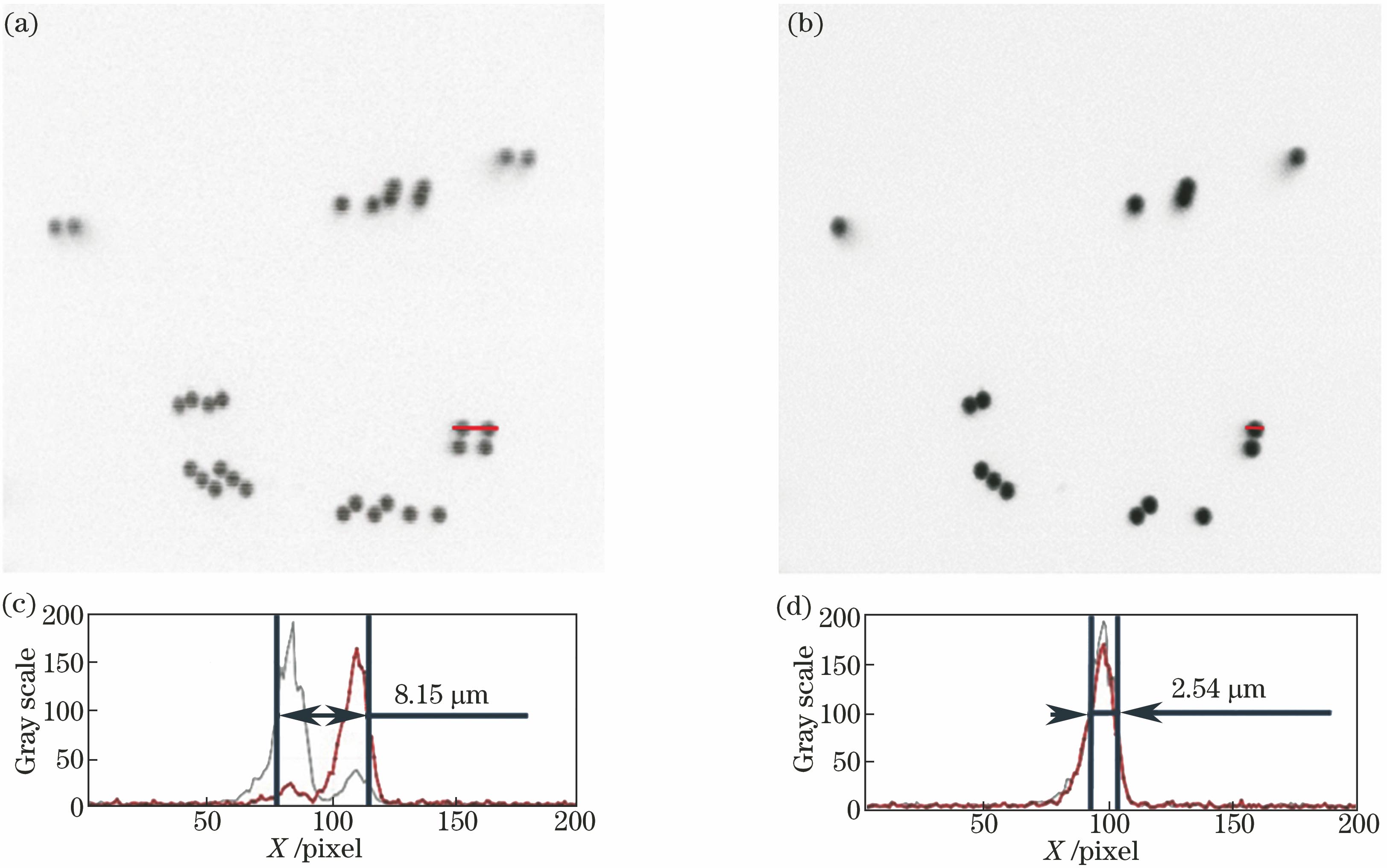 共振-检流计振镜扫描成像错位校正图。(a)未经算法校正;(b)经算法校正后;(c)图8(a)错位图像中红色线段部分灰度值与像素的关系曲线;(d)图8(b)校正后图像中红色线段部分灰度值与像素的关系曲线
