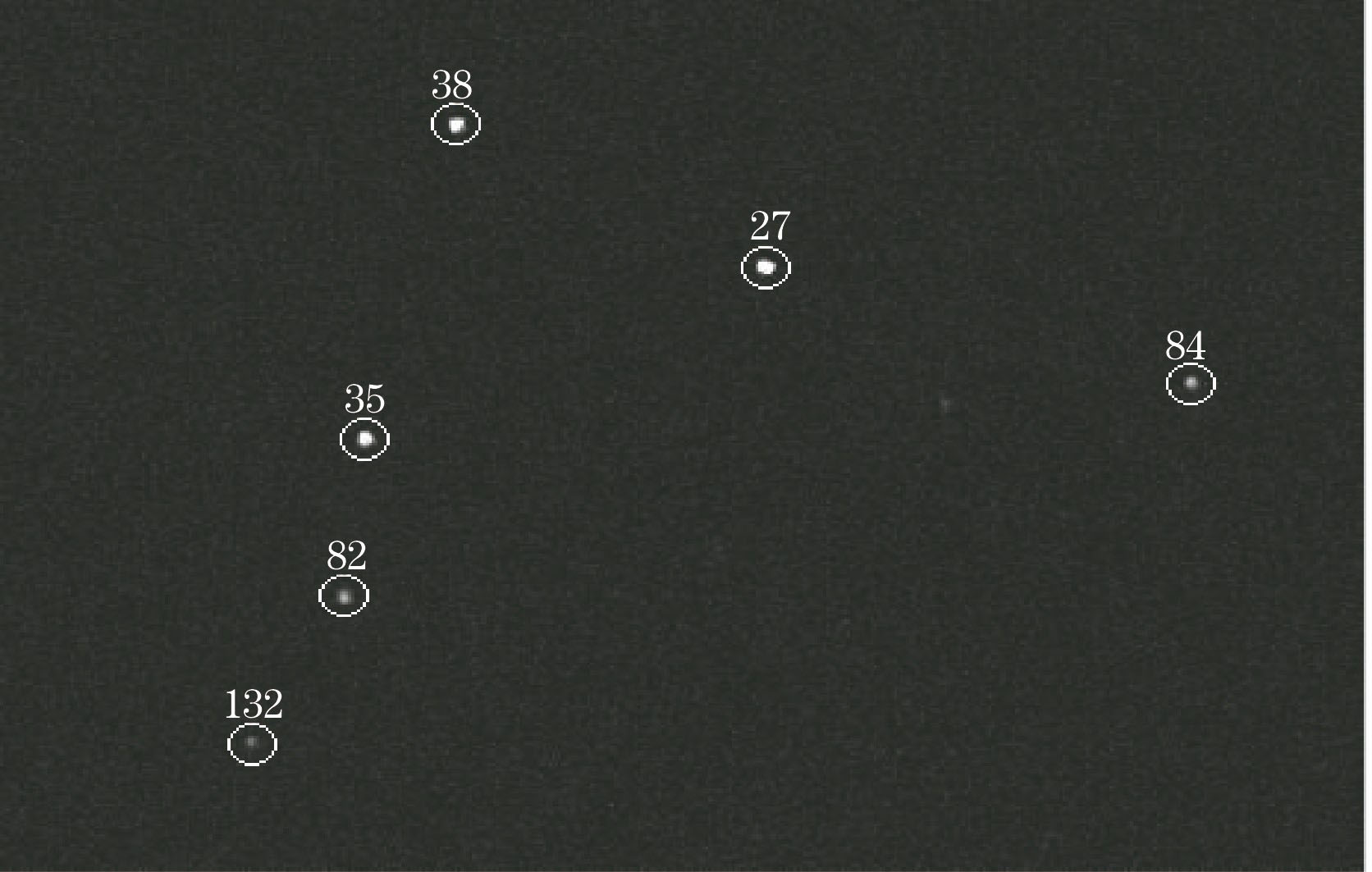 配准叠加后结果图的局部截图