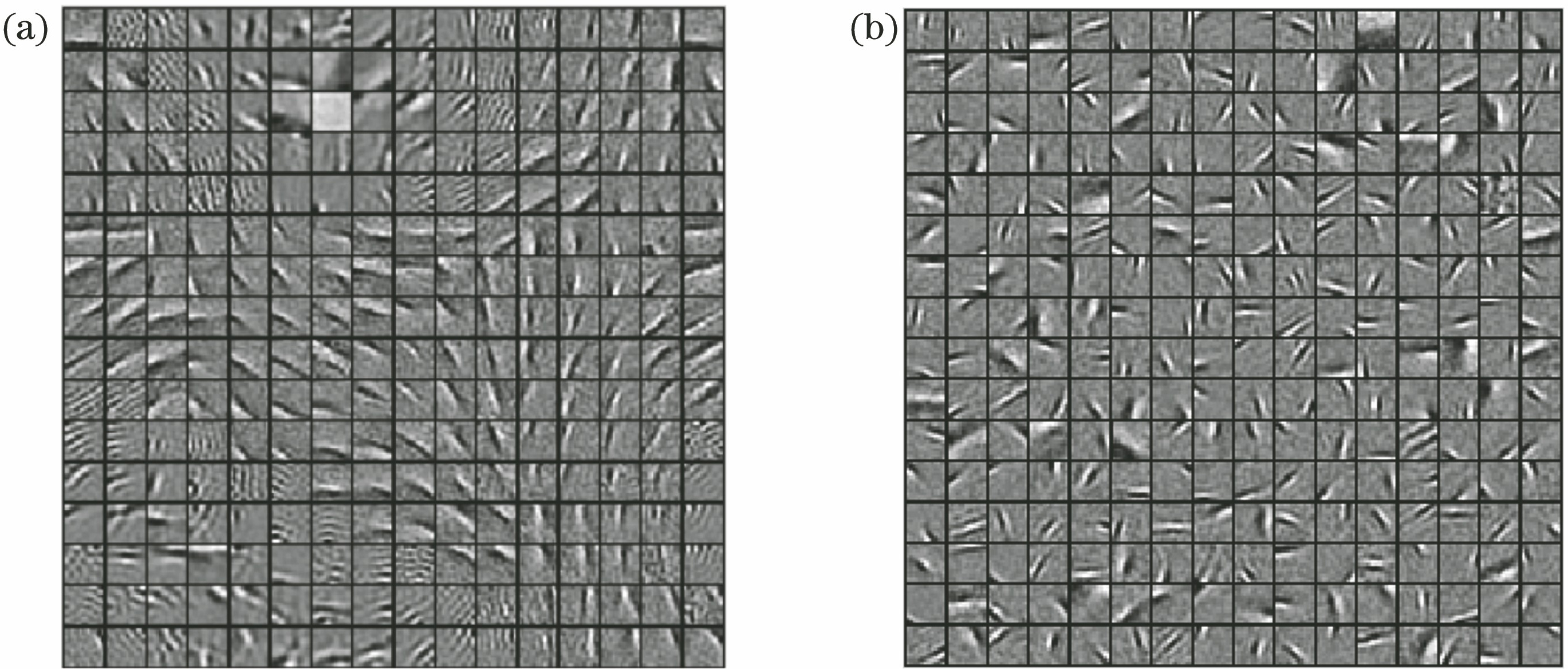 基于稀疏编码和卷积神经网络的地貌图像分类