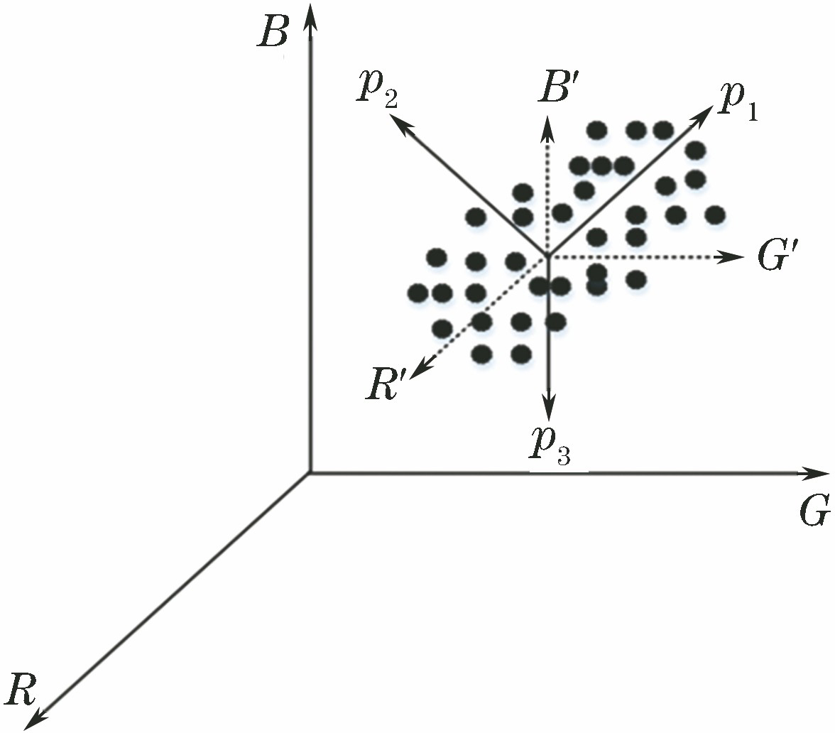 自适应尺度信息的U型视网膜血管分割算法