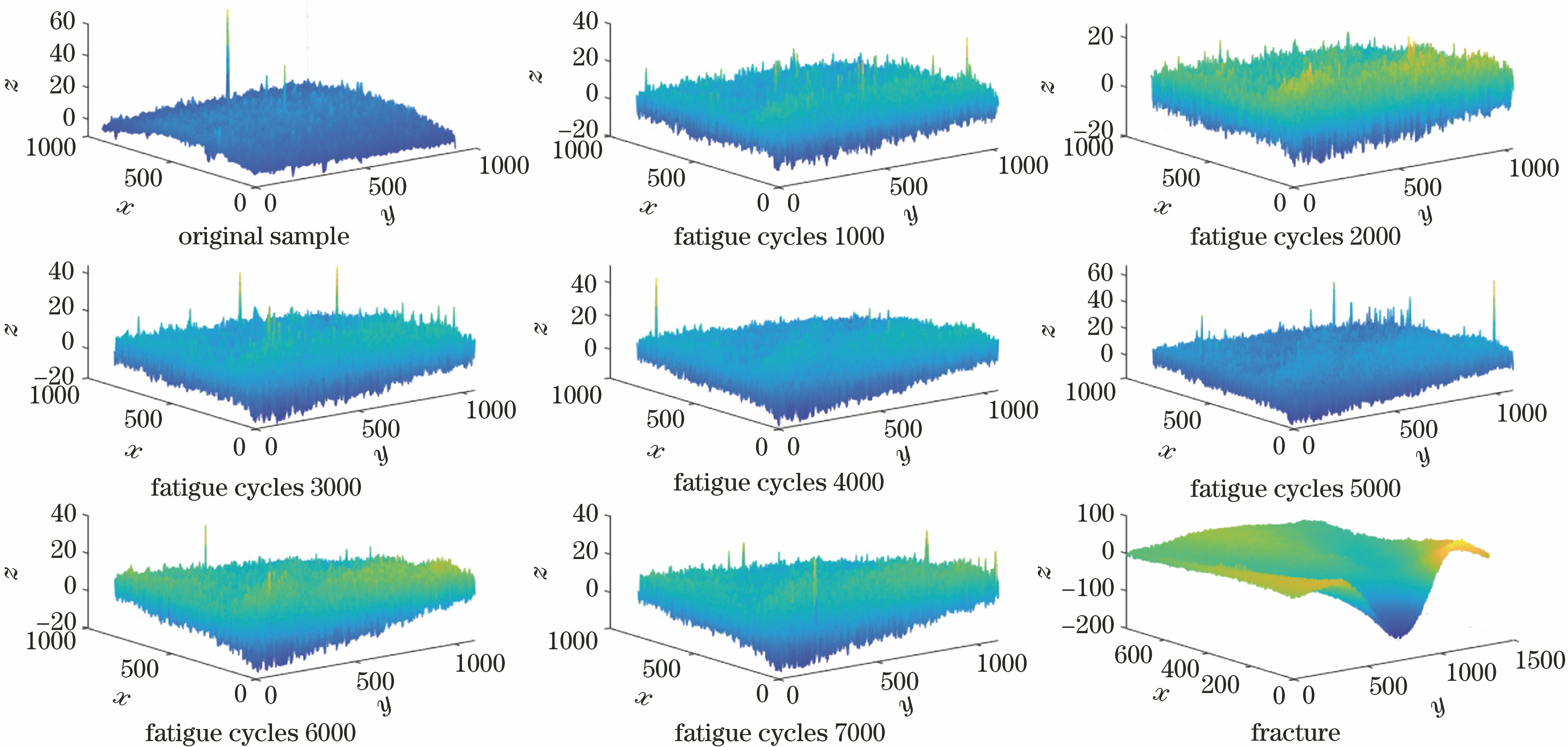 金属试件疲劳过程中表面形貌