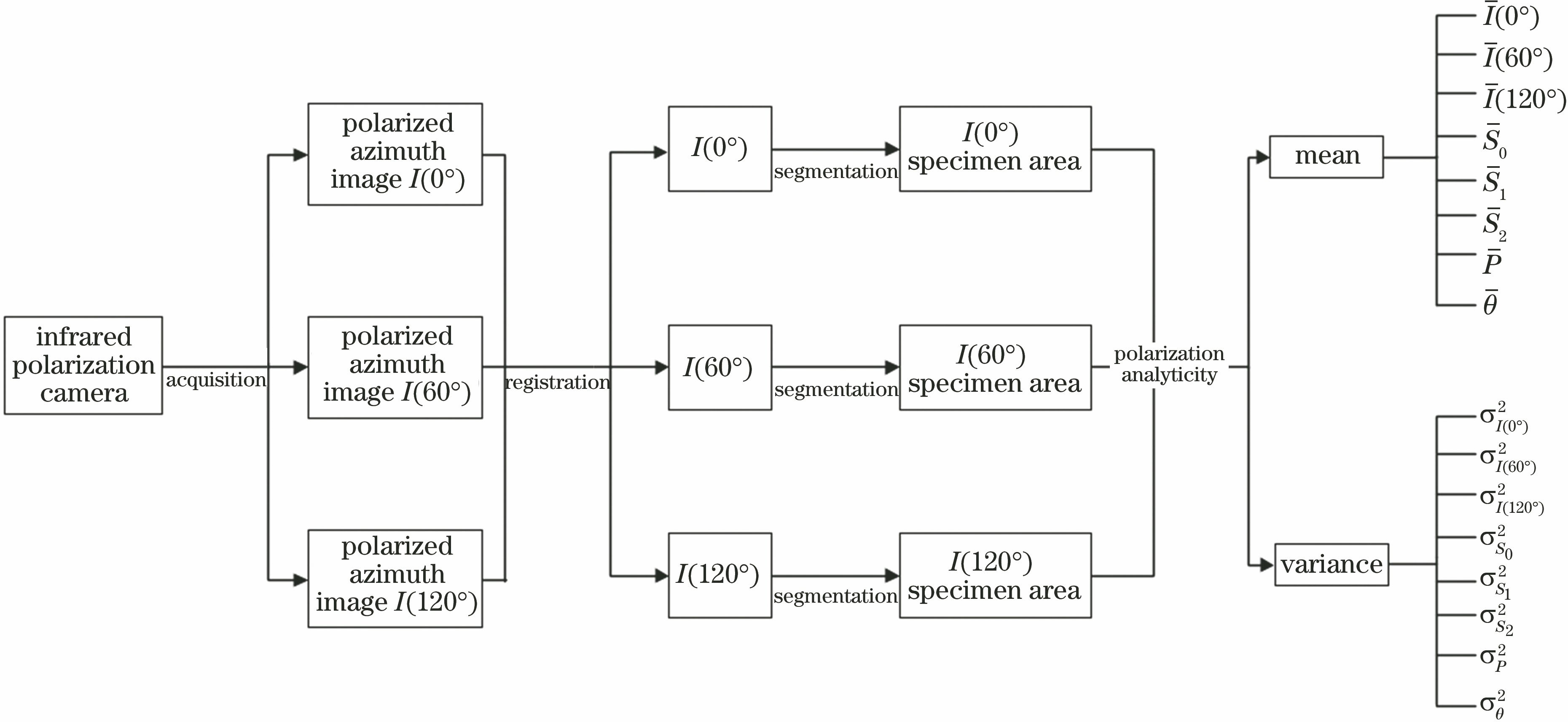 红外偏振特征提取流程