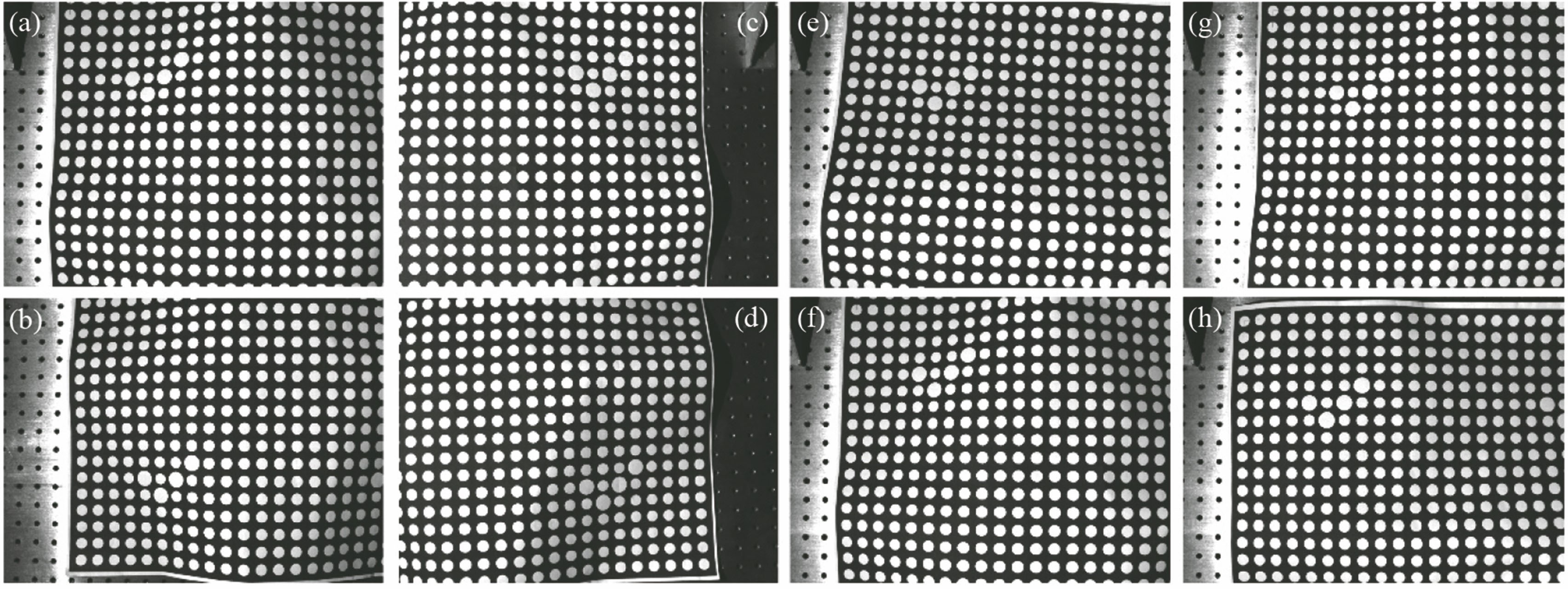 (a)~(d)不同相机采集的同一柔性靶标图像。(a) 1号相机;(b) 2号相机;(c) 3号相机;(d) 4号相机。(e)~(h) 1号相机采集的不同形态的柔性靶标图像。(e)形态1;(f)形态2;(g)形态3;(h)形态4