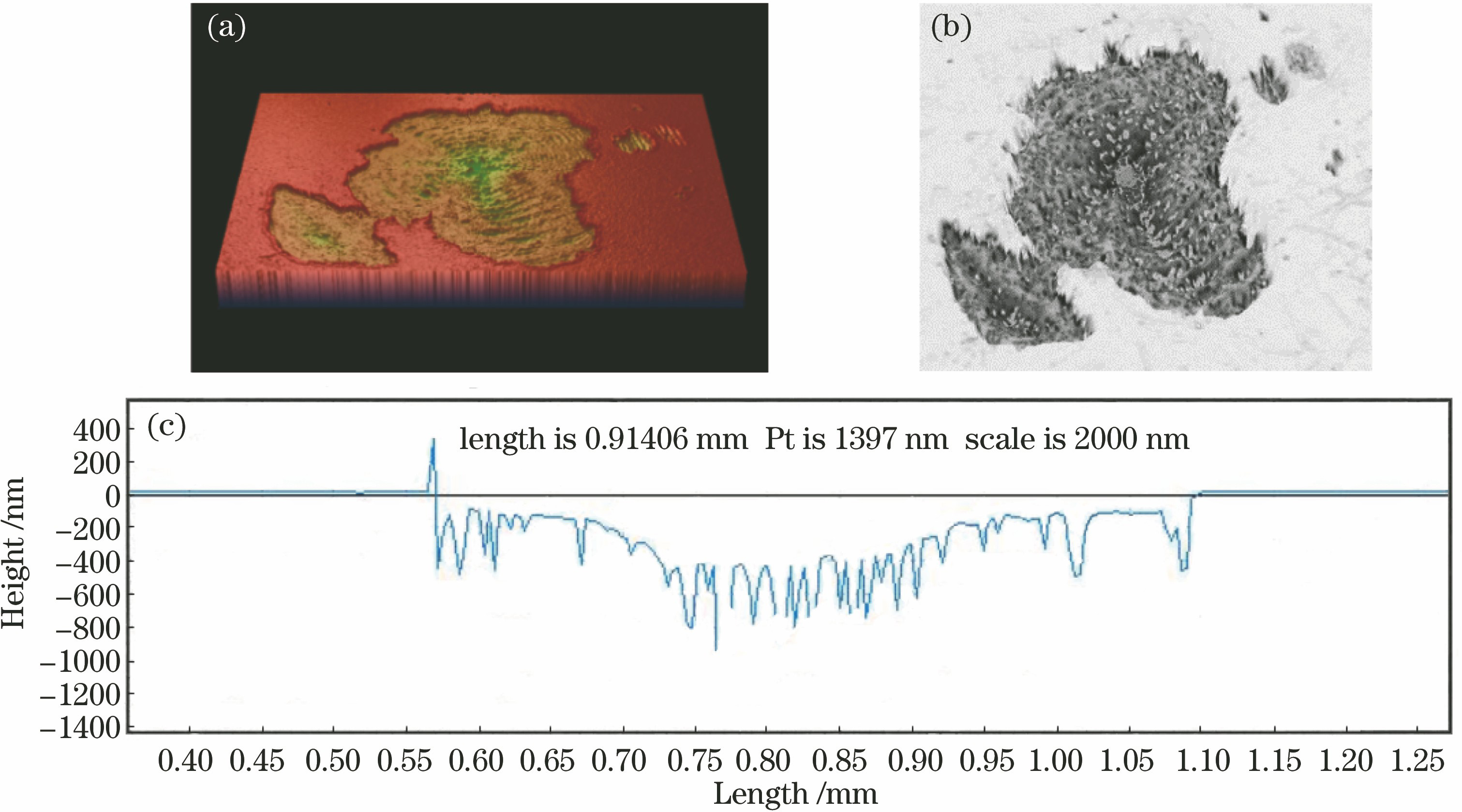 3号样品的仪器测试结果。(a) Vision软件处理所得形貌图;(b) T-H轮廓仪处理所得形貌图;(c) T-H轮廓仪中软件处理所得剖面轮廓线
