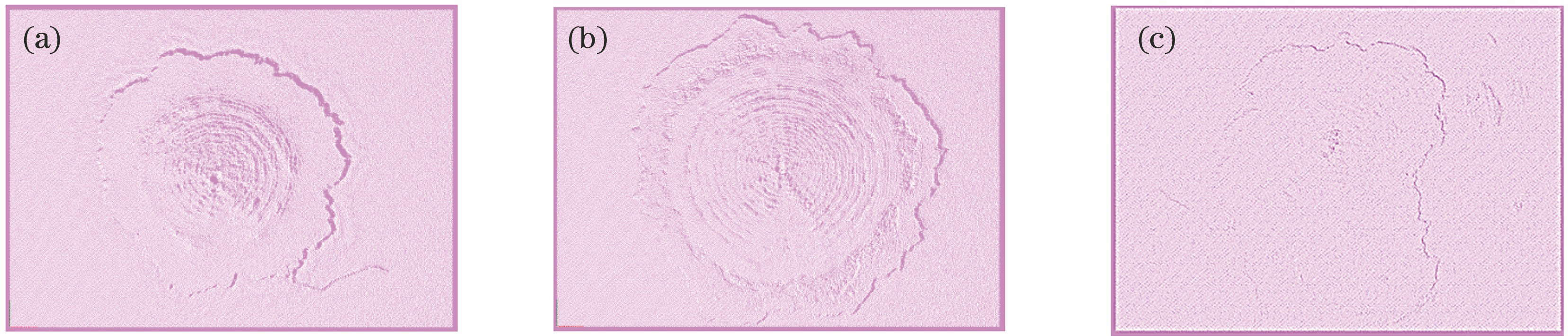 下采样后点云可视化效果。(a) 1号样品;(b) 2号样品;(c) 3号样品