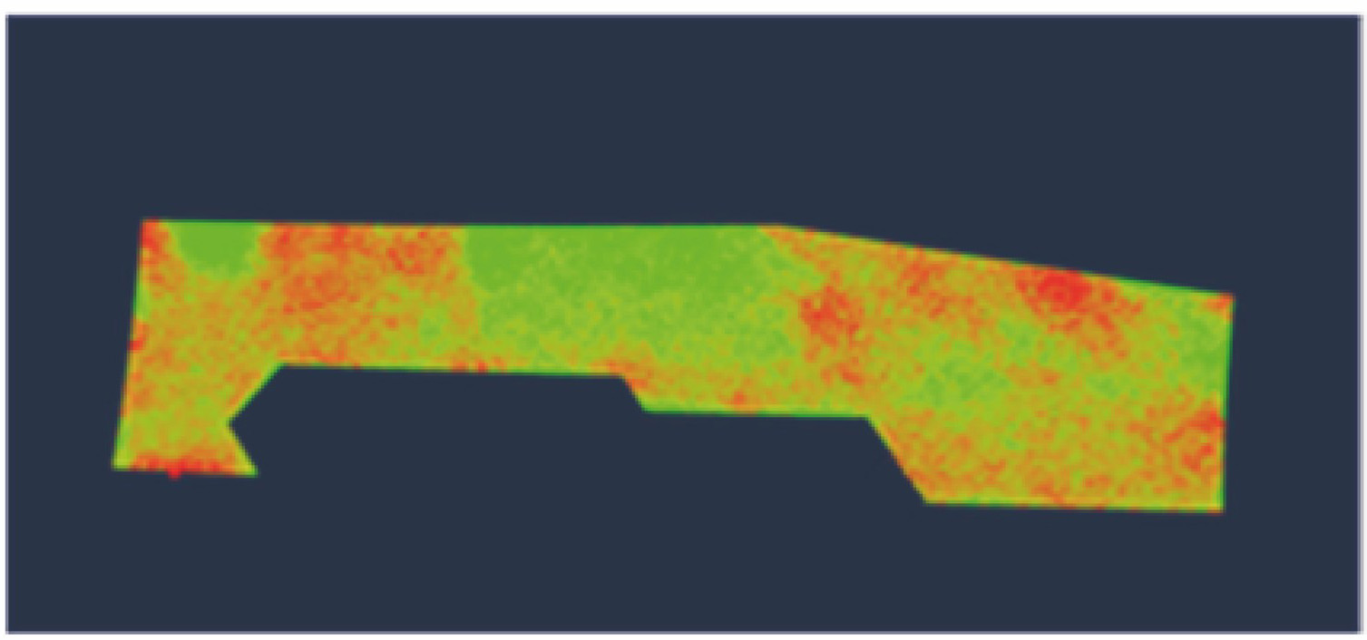 蒙皮整体配准结果