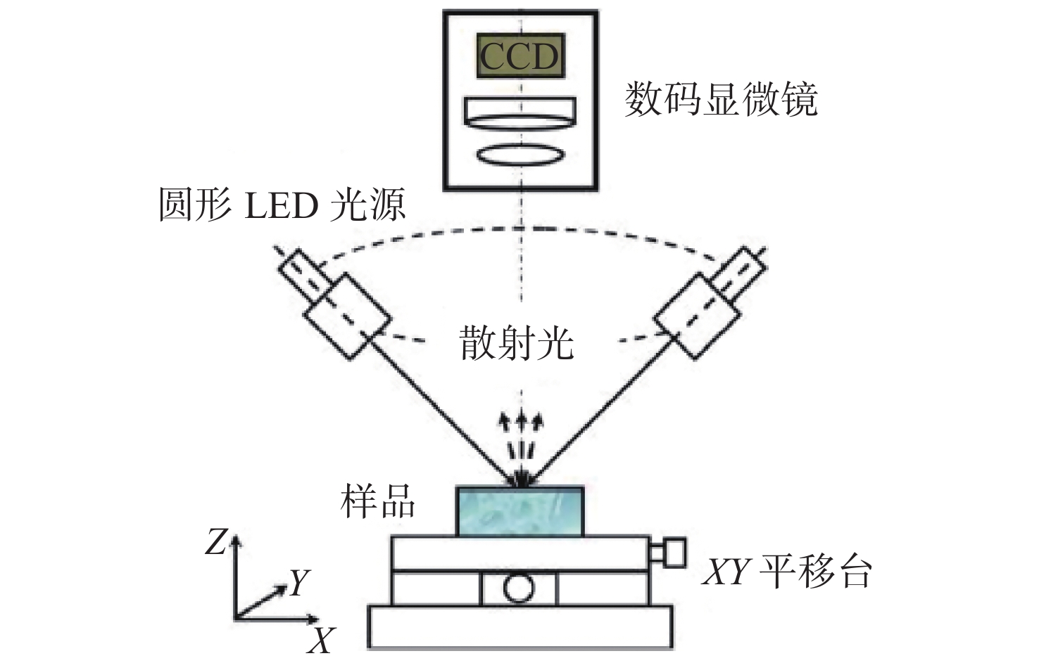 暗场散射显微法原理图