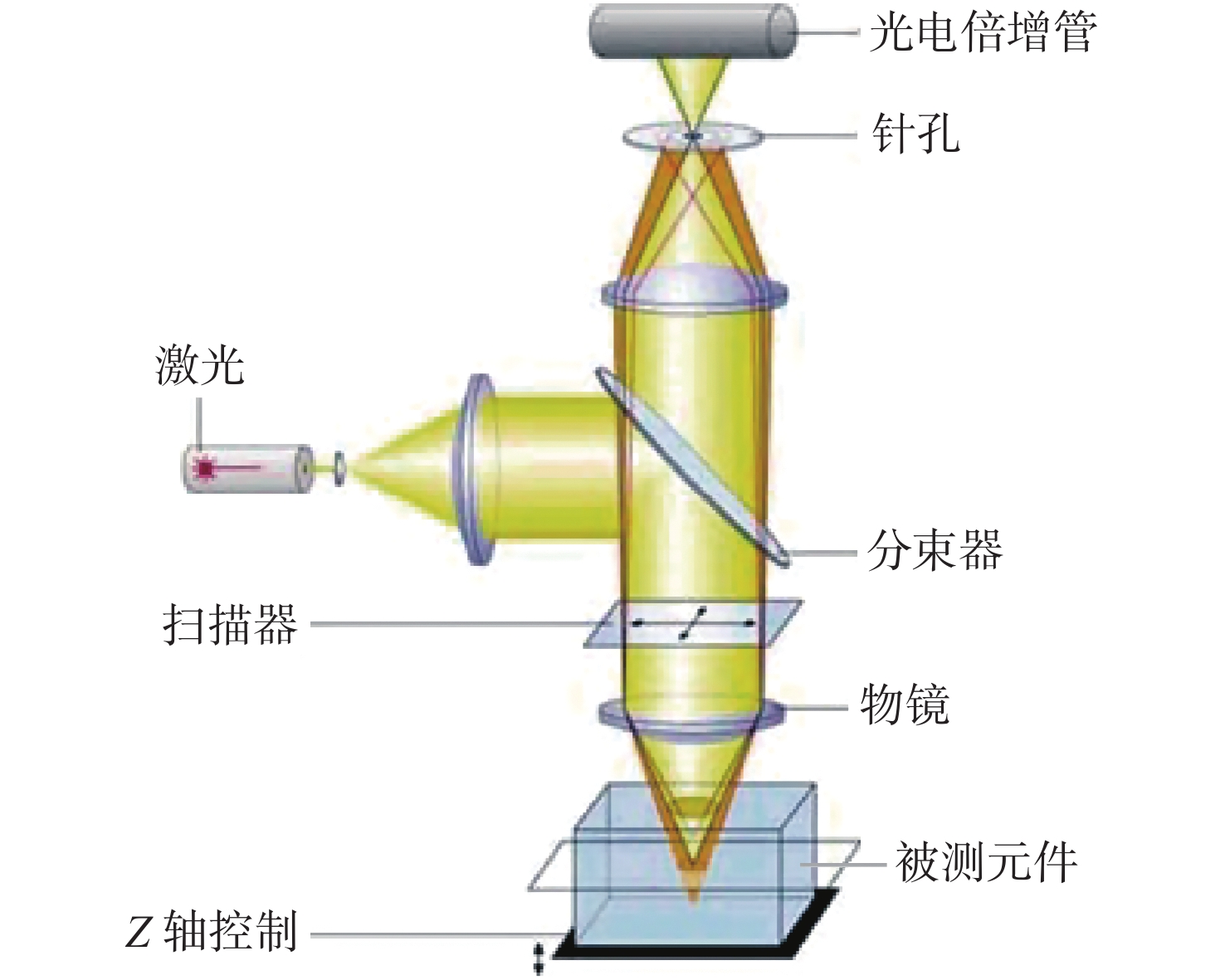 激光共聚焦显微检测