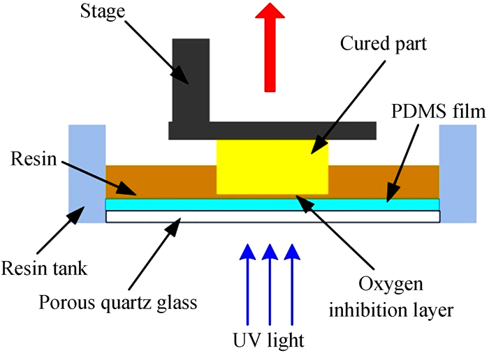 CLIP工艺中阻聚区形成原理示意图Schematic diagram for the principle of oxygen inhibition layer formation in CLIP process