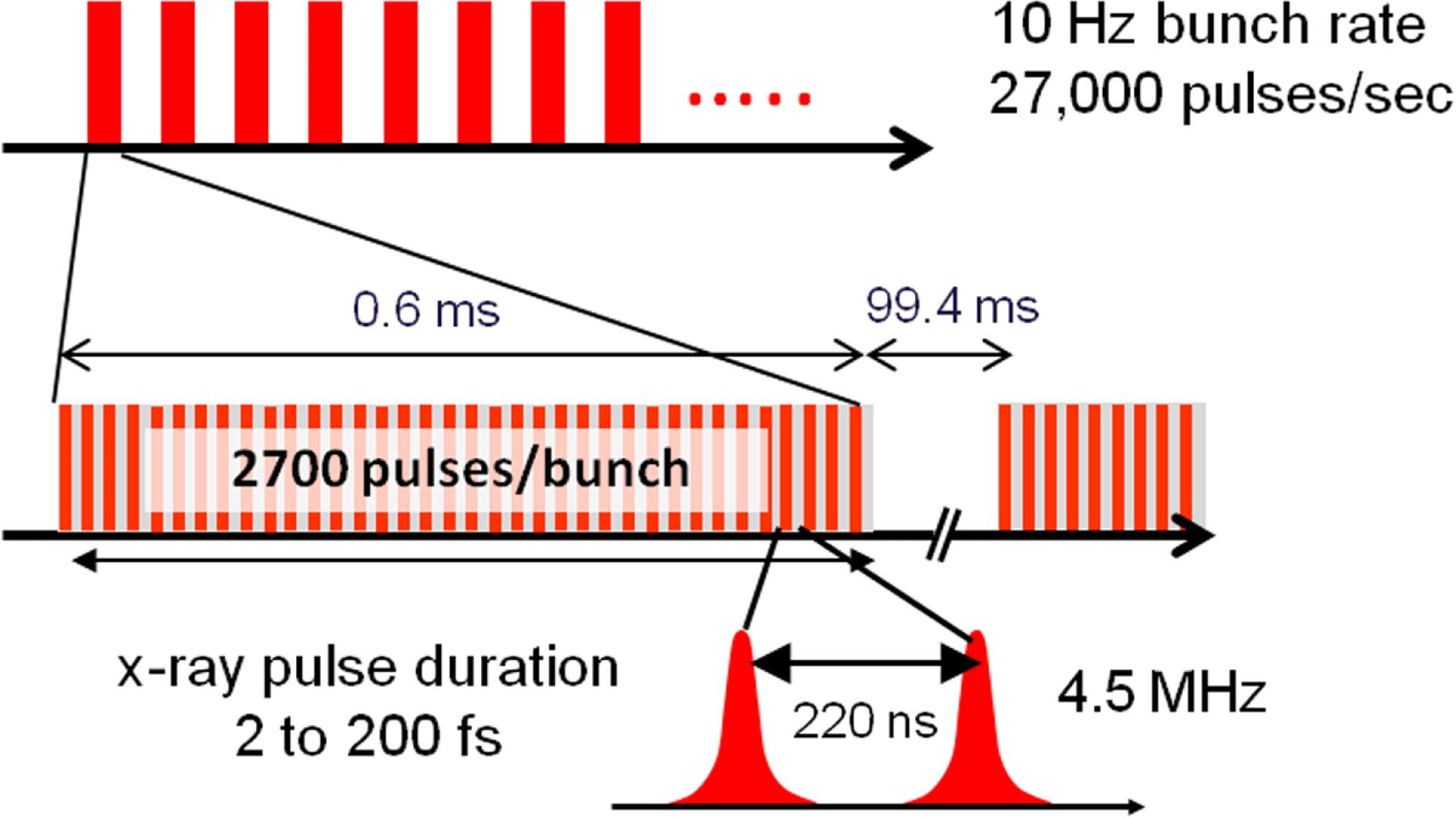 X-ray pulse timing diagram for SASE II beamline.